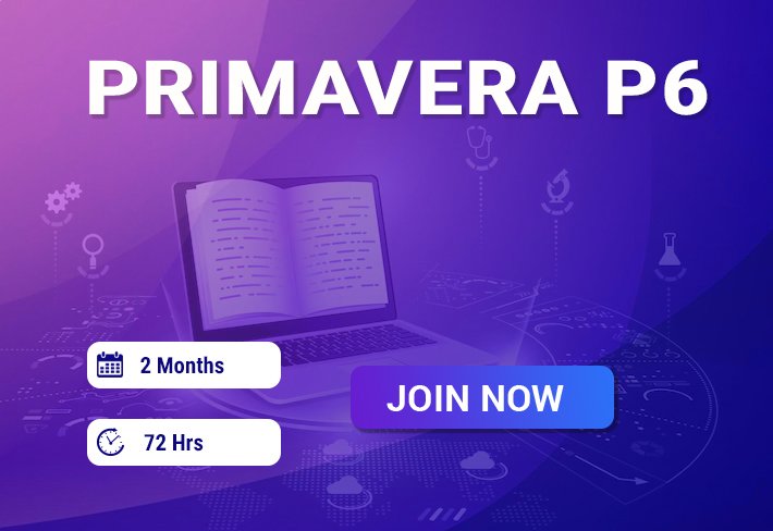 Primavera P6