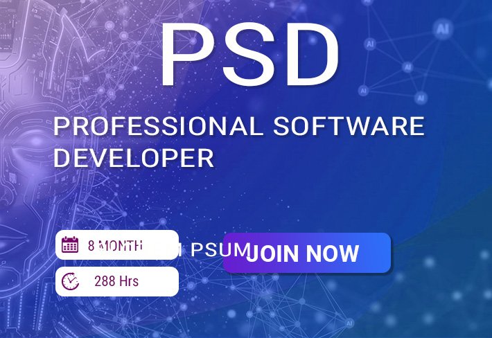 PROFESSIONAL SOFTWARE DEVELOPER (PSD)